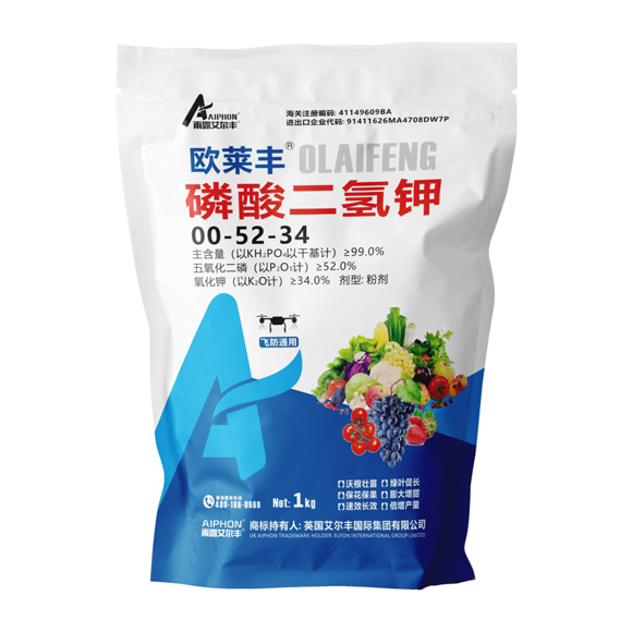 ŷ����-��������