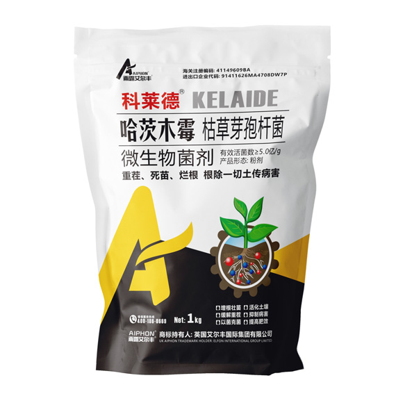 ������-����ľù���ݲ�ѿ�߸˾�