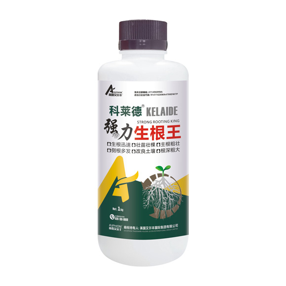 ������-ǿ��������