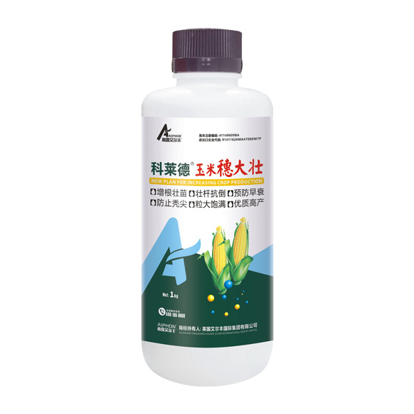 ������-�������׳