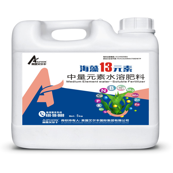 ����13Ԫ��