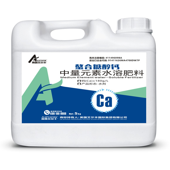 �����Ǵ���